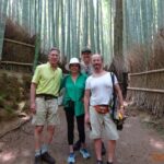 Kyoto Highlights Shore Excursion from Osaka Tempozan Cruise Port - Who Should Book This Tour?