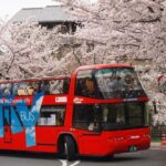 Kyoto Hop-On, Hop-Off Sightseeing Bus Tour - Final Thoughts