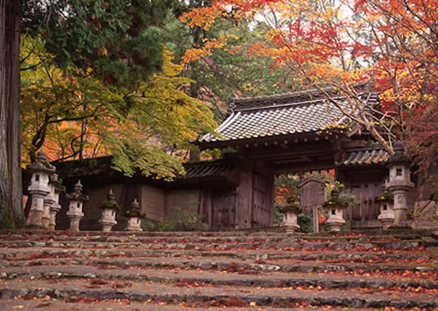 Kyoto: Jingoji and Kozanji Temple Private Day Trip - Frequently Asked Questions (FAQs)