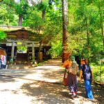 Kyoto: Kurama Temple and Mountain Legends Guided Hike - The Value of a Guided Experience