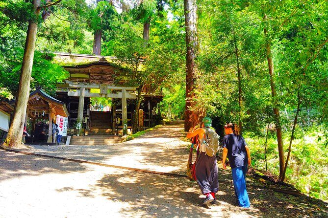 Kyoto: Kurama Temple and Mountain Legends Guided Hike - The Value of a Guided Experience