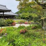 Kyoto Love :Romantic Tour of Arashiyama & Togetsukyo Bridge - Practical Details and What to Expect