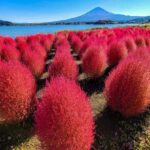 Kyoto: Mount Fuji Private Tour with English Speaking Driver - Top Stops and What You’ll See