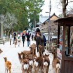 Kyoto & Nara: Full-Day Private Guided Tour with Hotel Pickup - Flexibility and Personalization