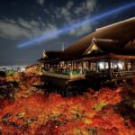 Kyoto & Nara: Full-Day Private Guided Tour with Hotel Pickup - Why the Private, Customizable Approach Works