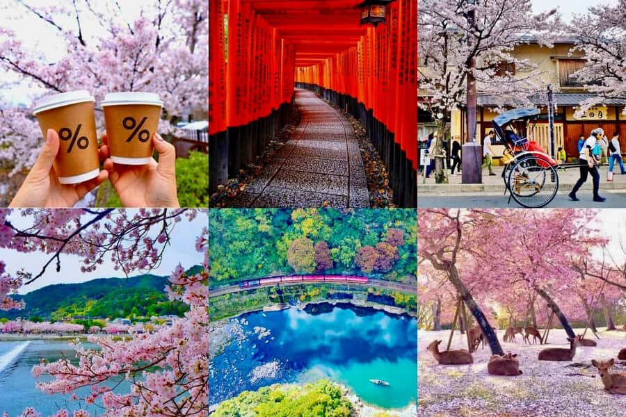 Kyoto/Nara: Must-see Spots in One Day Tour with Hotel Pickup - Authenticity and Insights from Actual Travelers