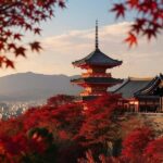 Kyoto & Nara: Private Guided Day Trip by Car with Pickup - Who Is This Tour For?