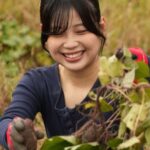 Kyoto: Organic Farm Experience with Vegetable Souvenir - The Value for Your Money