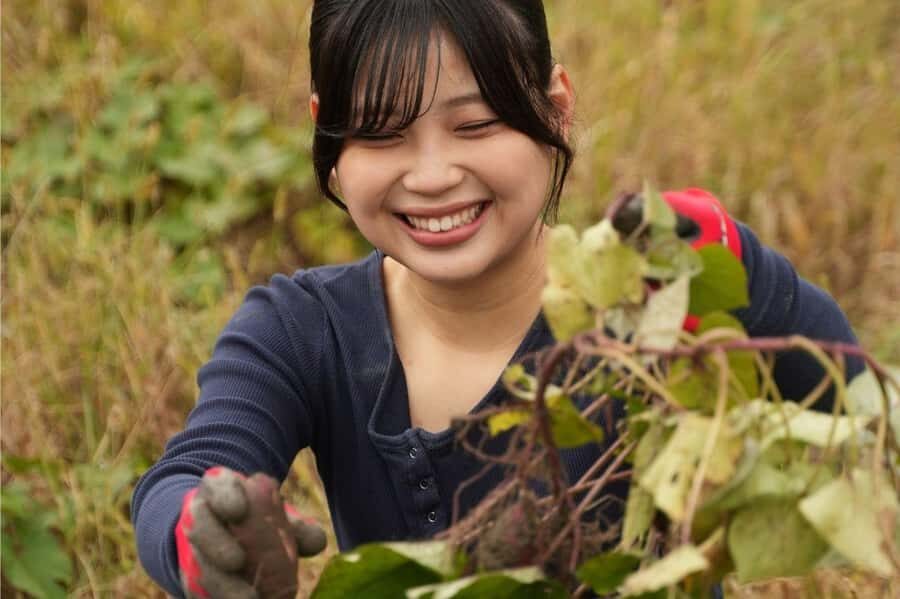Kyoto: Organic Farm Experience with Vegetable Souvenir - The Value for Your Money