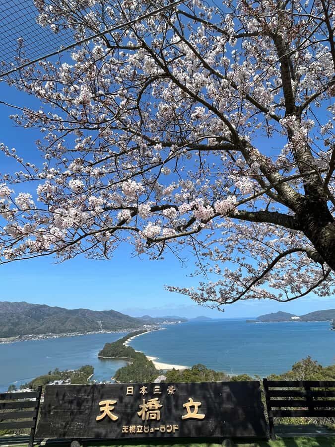 Kyoto/Osaka: Amanohashidate Panoramic View & Ine 1-Day Tour - Exploring the Itinerary: What Makes Each Stop Special