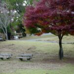 Kyoto, Osaka and Nara Customized Private Car tour - What Sets This Tour Apart