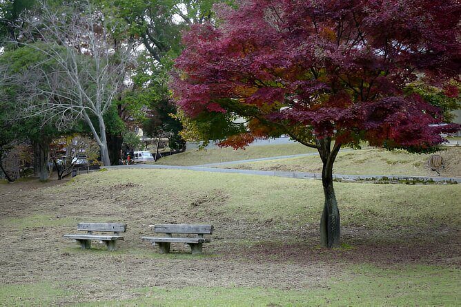 Kyoto, Osaka and Nara Customized Private Car tour - What Sets This Tour Apart