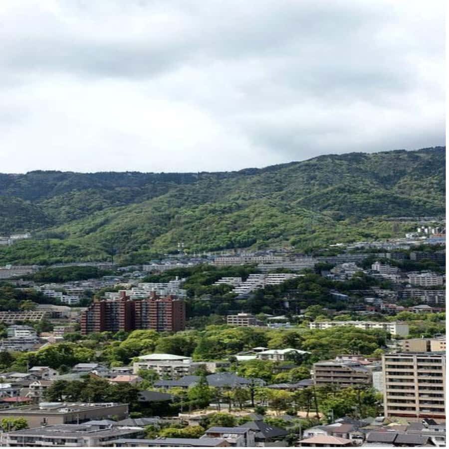 Kyoto/Osaka: Kobe and Himeji Private Day Trip with Pickup - Practical Details and What You Should Know