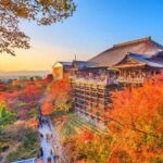 Kyoto/Osaka: Kyoto and Nara World Heritage Day Tour - Who Should Consider This Tour?
