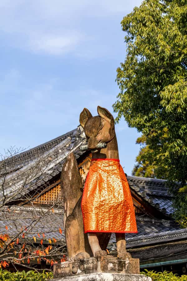 Kyoto/Osaka: Kyoto&Nara Private Customized Guided Tour - An In-Depth Look: What You Can Expect