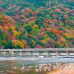 Kyoto/Osaka: Nijo Castle, Arashiyama, Kinkakuji Day Tour - What’s the Value?