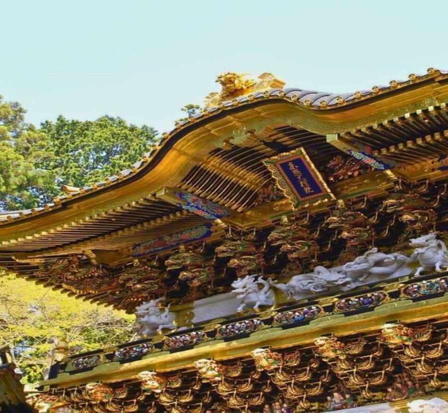Kyoto/Osaka: Nikko Private Tour with English Driver - Who is This Tour Best Suited For?