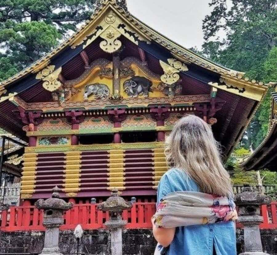 Kyoto/Osaka: Nikko Private Tour with Guide and Driver - Who Should Consider This Tour?