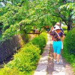 Kyoto: Philosophers Path and Hidden Temple Walking Tour - Practical Details and Value