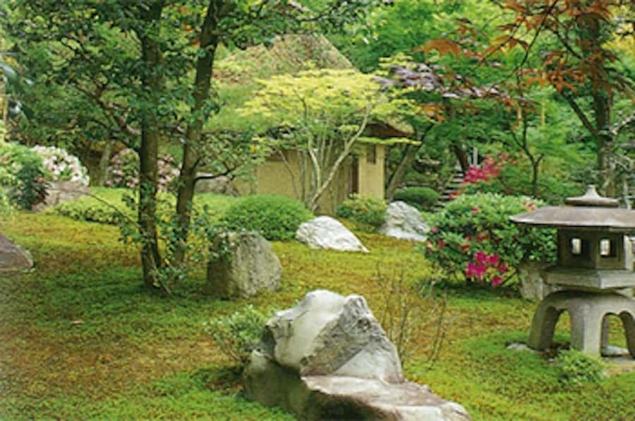 Kyoto: Private charter tour (Bamboo Trail, Suzumushi Temple) - The Practicalities and Value