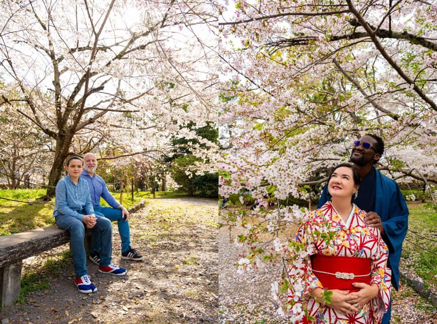 Kyoto: Private Cherry Blossom Photoshoot - Why Choose This Tour?