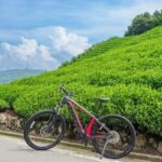 Kyoto: Private Countryside E-Bike Tour with Lunch and Tea - The Itinerary in Detail