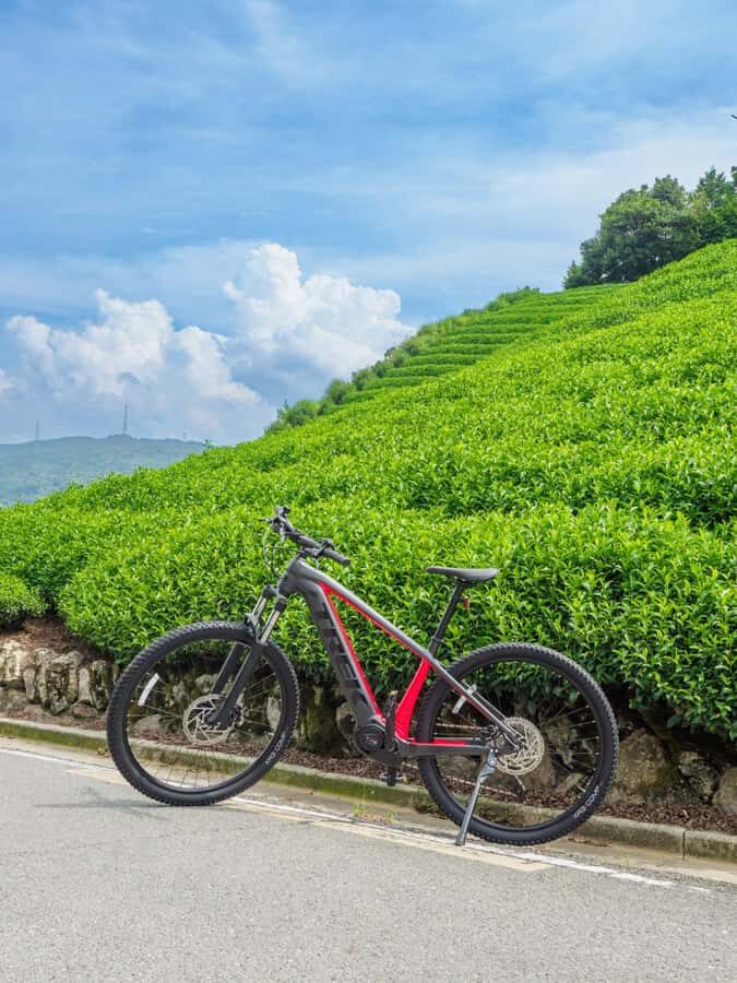 Kyoto: Private Countryside E-Bike Tour with Lunch and Tea - The Itinerary in Detail