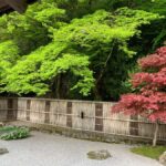 Kyoto: Private Cultural and Historical Tour in Spanish - The Practicalities and Value