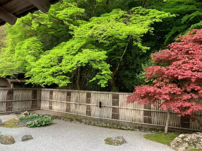 Kyoto: Private Cultural and Historical Tour in Spanish - The Practicalities and Value