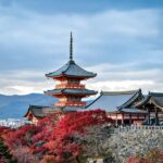 Kyoto: Private Custom Tour with English Guide and Vehicle - The Value of Personalization and Photography