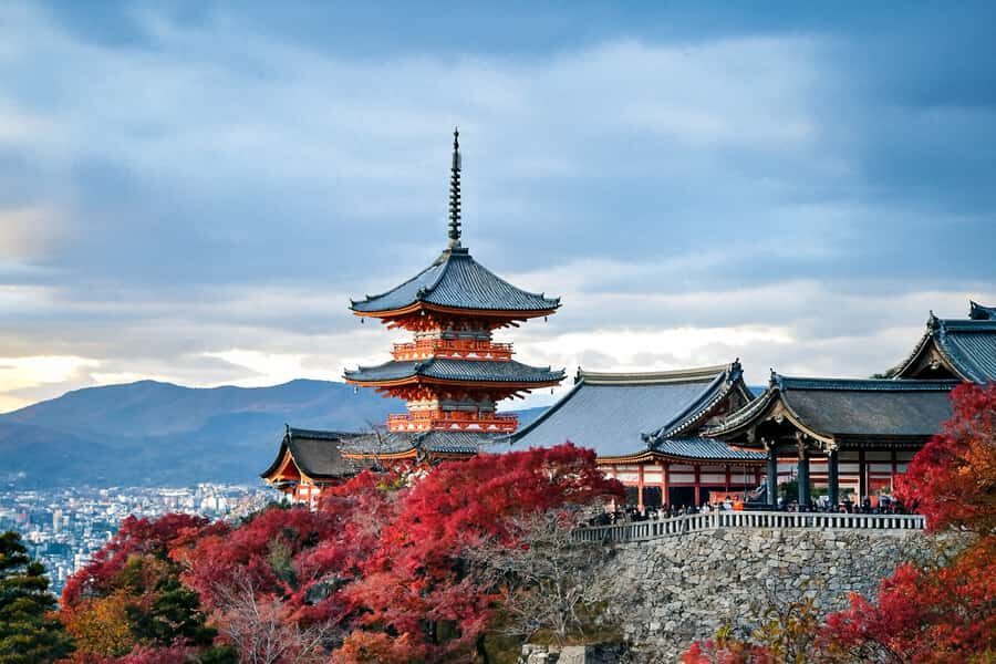 Kyoto: Private Custom Tour with English Guide and Vehicle - The Value of Personalization and Photography
