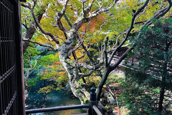 Kyoto Private & Customizable Tour with English-Speaking Driver - What’s Included and What’s Not?