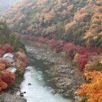 Kyoto Private Customizable Tour With Guide & Luxury vehicle - Who Should Consider This Tour?