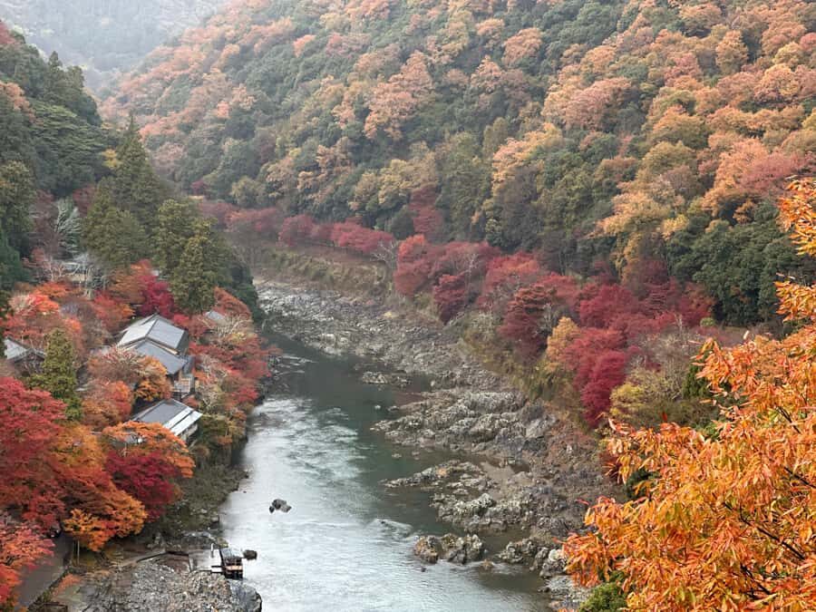 Kyoto Private Customizable Tour With Guide & Luxury vehicle - Who Should Consider This Tour?