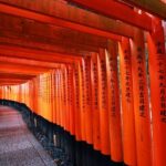 Kyoto Private Full Day Tour by Car - Practical Details & Experience Highlights