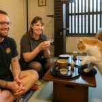 Kyoto: Private/GroupEthical Cat Sanctuary & Tea Ceremony - A Closer Look at the Experience