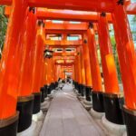 Kyoto: Private Kyoto and Nara Customizable Day Tour - Why This Tour Offers Great Value