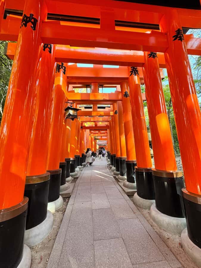 Kyoto: Private Kyoto and Nara Customizable Day Tour - Why This Tour Offers Great Value