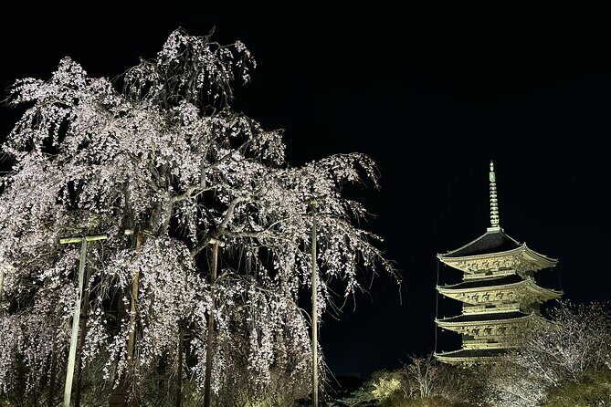 Kyoto/ Private Tour delivered and guided by a top-tier driver - Detailed Breakdown of the Itinerary