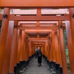 Kyoto Private Tour  Licensed Guide & Car from Osaka/Kyoto - A Closer Look at the Itinerary