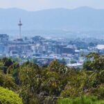 Kyoto Walking Tour Gion, Ninenzaka and Kiyomizudera Temple - Final Thoughts