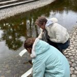 Kyoto World Heritage Walk: Shimogamo Shrine & Manga Souvenirs - Practical Details and What to Expect