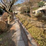 Kyoto Zen Highlights: Nanzenji, Kenninji, Tofukuji & Ginkaku - Transportation & Schedule: What Matters