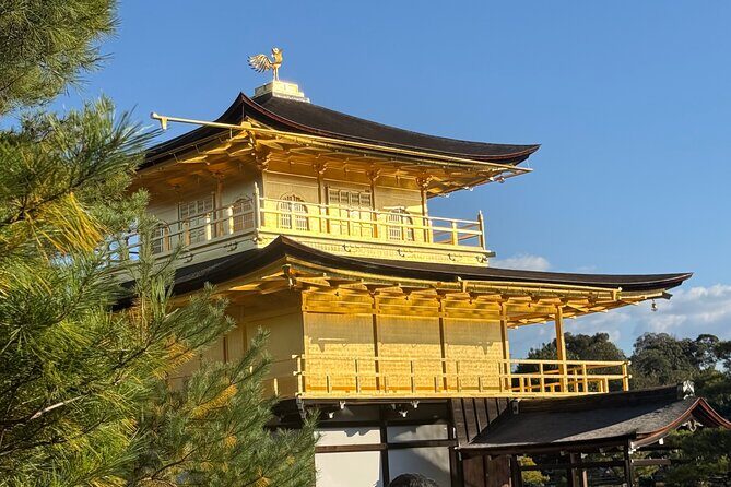 Kyoto&Nara Day Tour | English Guide & Private Vehicle - Who Is This Tour Best For?