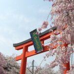 Kyoto's World Heritage Walking Tour from Kyoto st. - Authentic Experiences and Local Insights