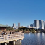 Kyu-Yasuda, Kiyosumi and Hama-Rikyu Tokyo Garden Tour - What to Expect from the Experience