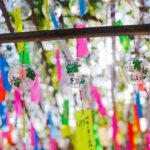 Kyushu Day Trip Dazaifu Tenmangu Shrine and Yufuin Kinrin Lake - Who Is This Tour Best For?