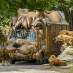 Kyushu Natural Adventure Day Tour: Zoo, Onsen & Hellscape - An In-Depth Look at the Kyushu Natural Adventure Tour