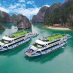 La Casta Cruise from Hanoi by Expressway Transfer - 5 Star Cruise - The Itinerary: Top Highlights of Halong Bay