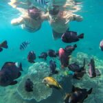Labuan Amuk Bali: snorkeling tour with traditional boat - A Closer Look at the Tour Experience